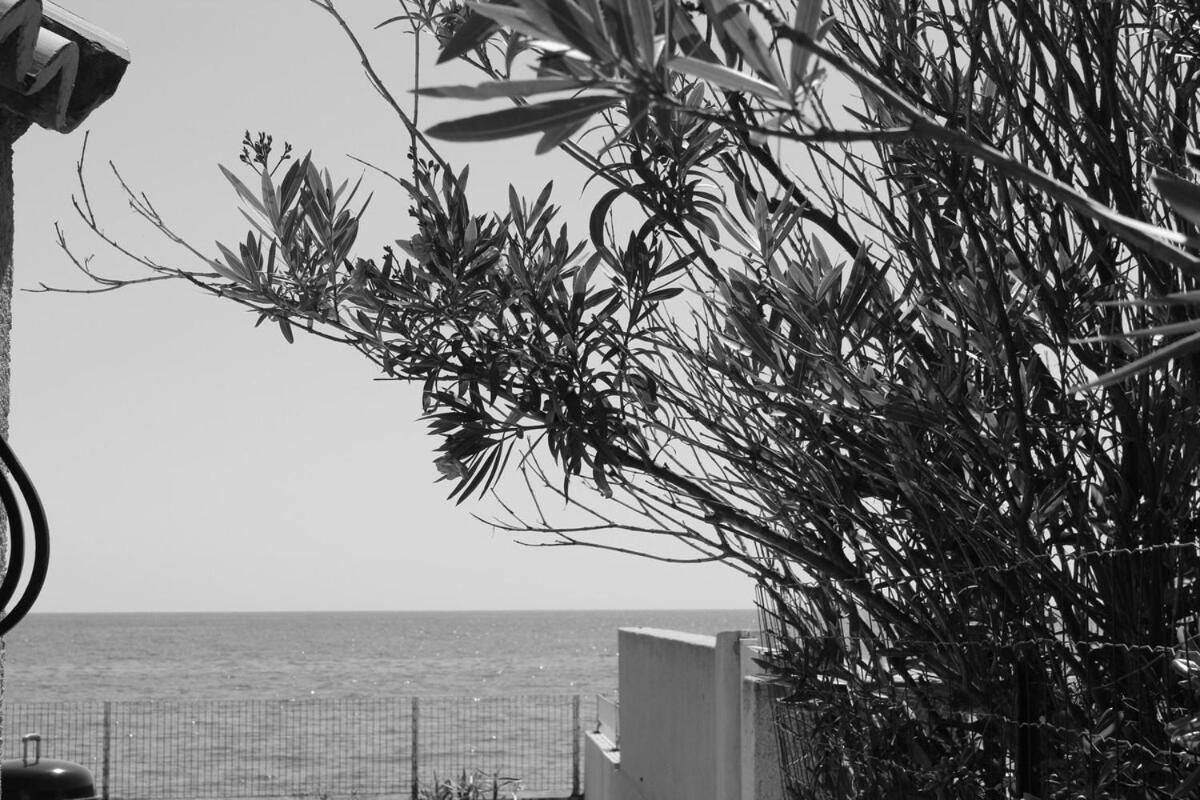 Bord de mer, pieds dans l'eau, vue panoramique Villa San Nicolao Bagian luar foto