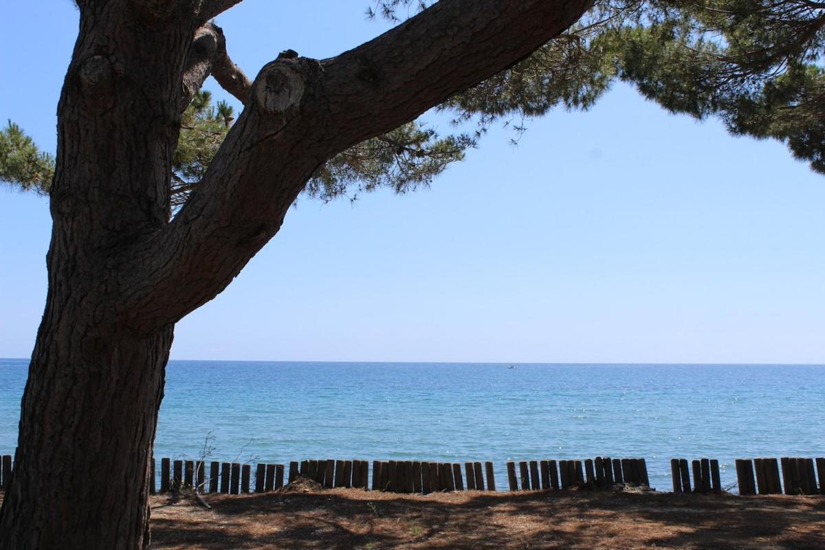 Bord de mer, pieds dans l'eau, vue panoramique Villa San Nicolao Bagian luar foto